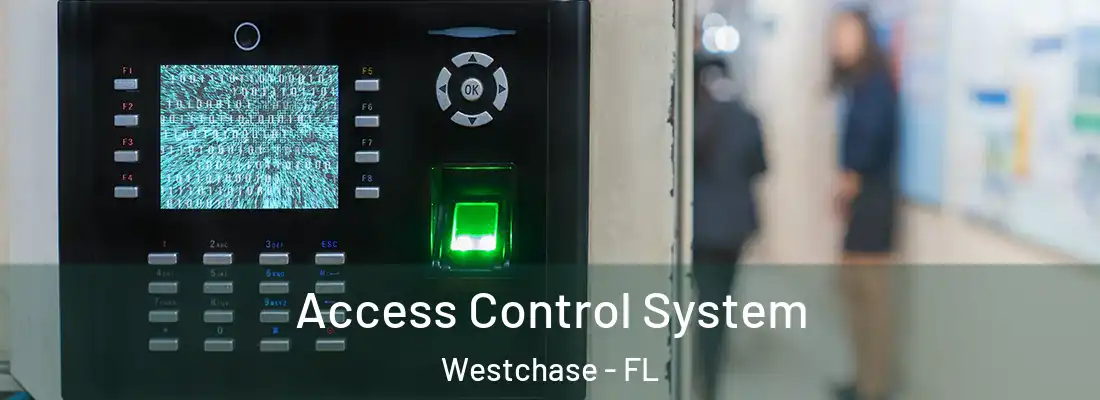  Access Control System Westchase - FL