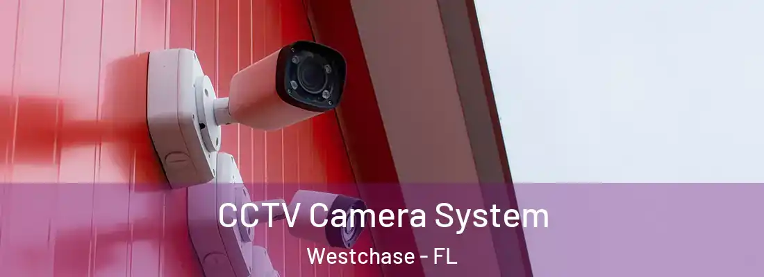  CCTV Camera System Westchase - FL