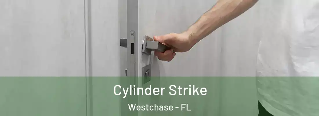  Cylinder Strike Westchase - FL