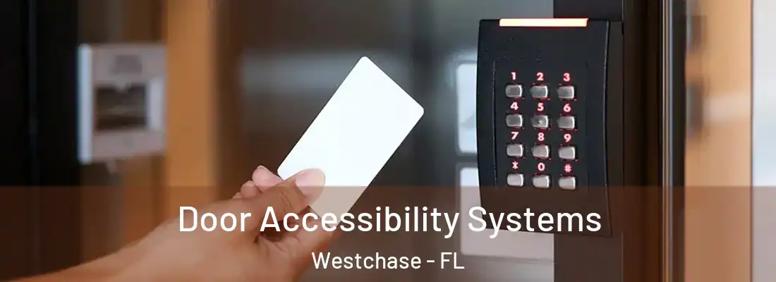  Door Accessibility Systems Westchase - FL