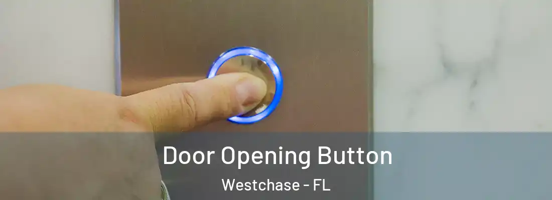  Door Opening Button Westchase - FL