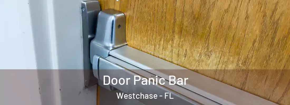  Door Panic Bar Westchase - FL
