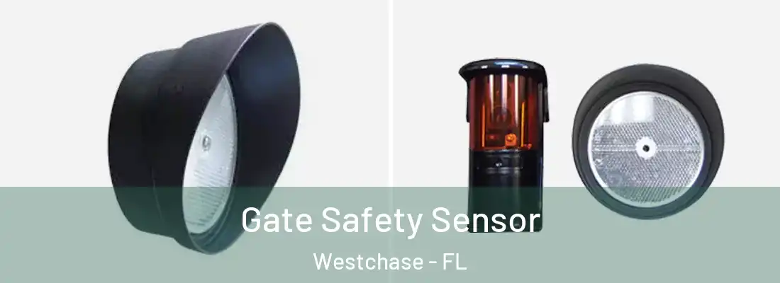  Gate Safety Sensor Westchase - FL