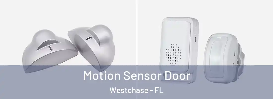 Motion Sensor Door Westchase - FL