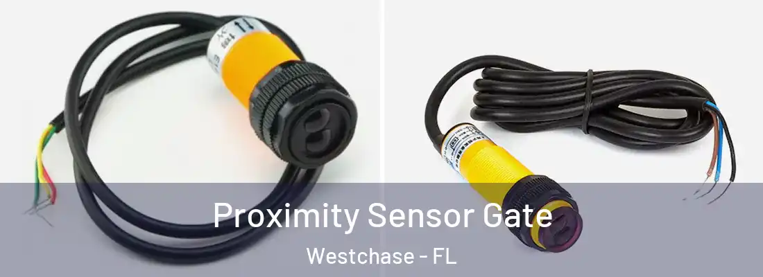 Proximity Sensor Gate Westchase - FL