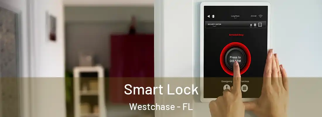 Smart Lock Westchase - FL
