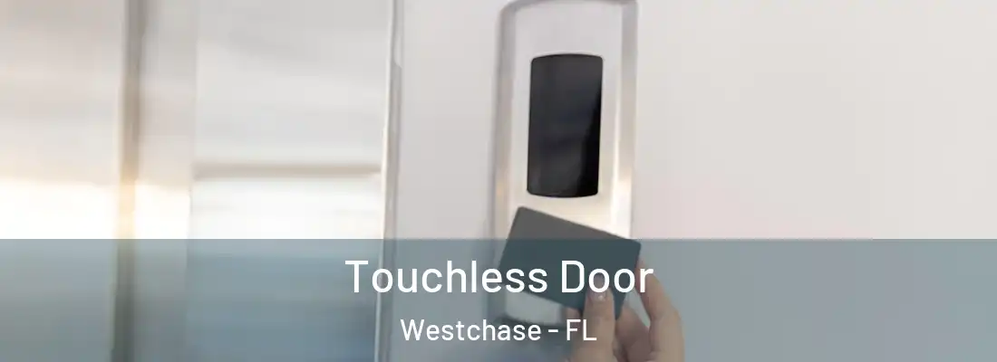  Touchless Door Westchase - FL
